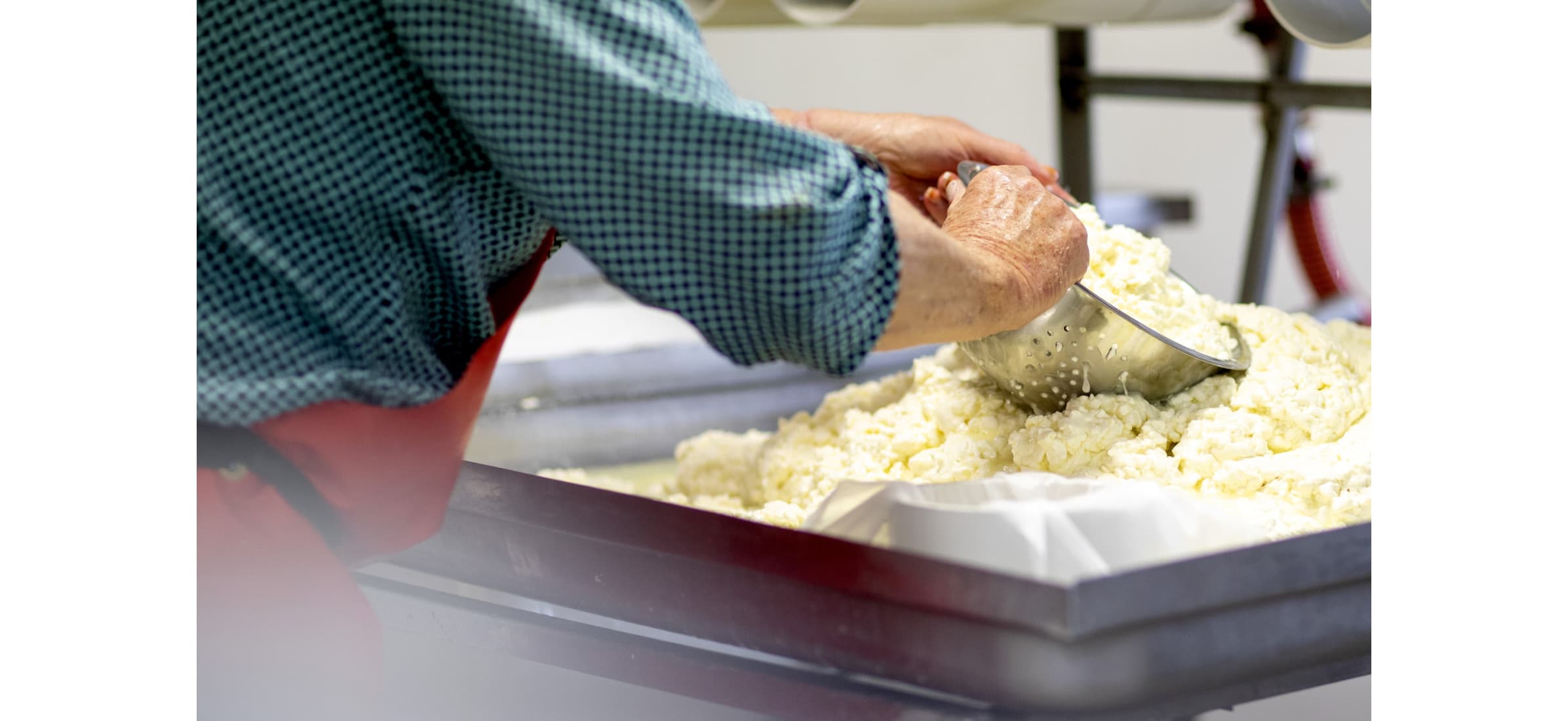 Close-up of hands showing the process of making cheese by moving it around with a bowl and tray.